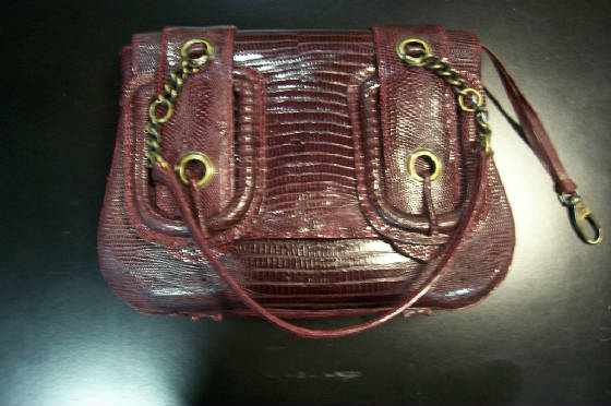 lizard-fendi.jpg